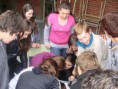 /album/jornada-dia-del-estudiante-y-dia-de-la-primavera/jornada-49-copiar-jpg/